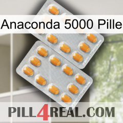 Anaconda 5000 Pill cialis4